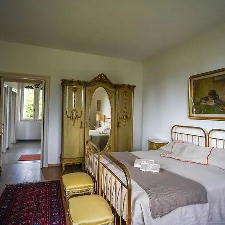 Evelina فيلة Travedona