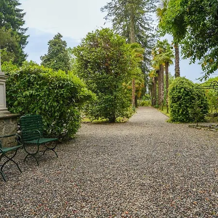 Evelina فيلة Travedona