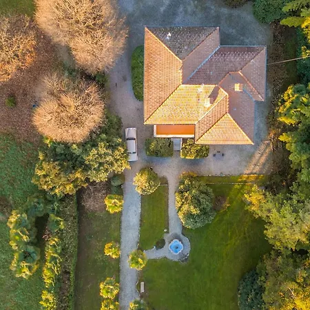 Evelina فيلة Travedona