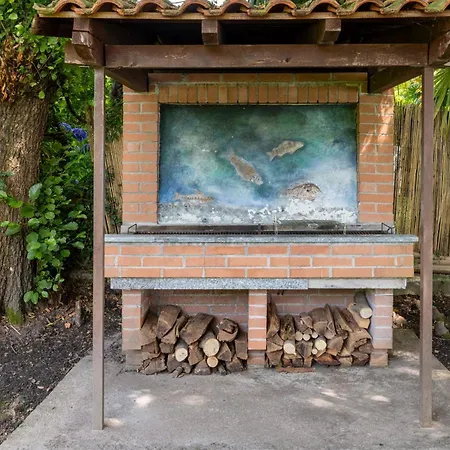 Evelina فيلة Travedona